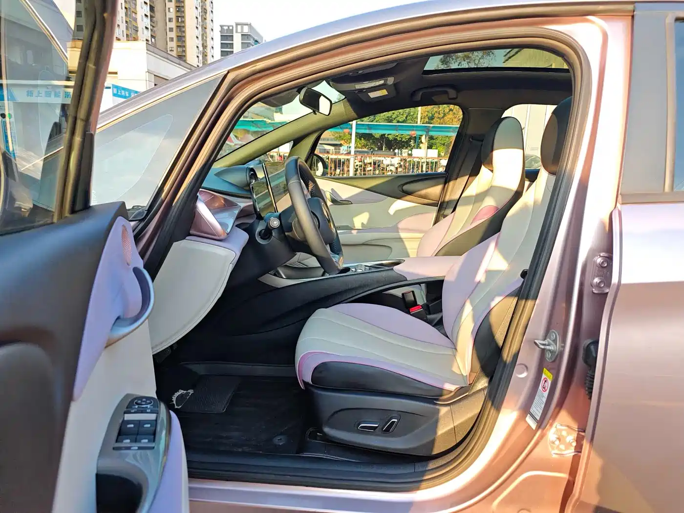 BYD Dolphin 2021 401km Knight Edition фото 11