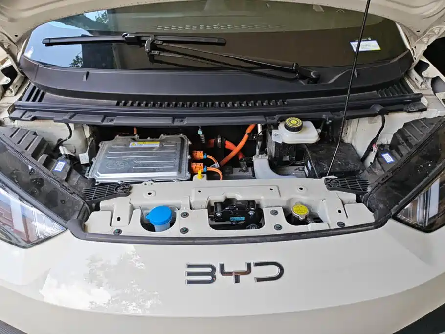 BYD Seagull 2026 2025 305km Vitality