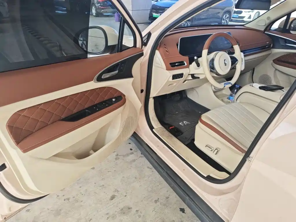 Ora Good Cat 2024 2023 401km Standard Range Luxury LFP