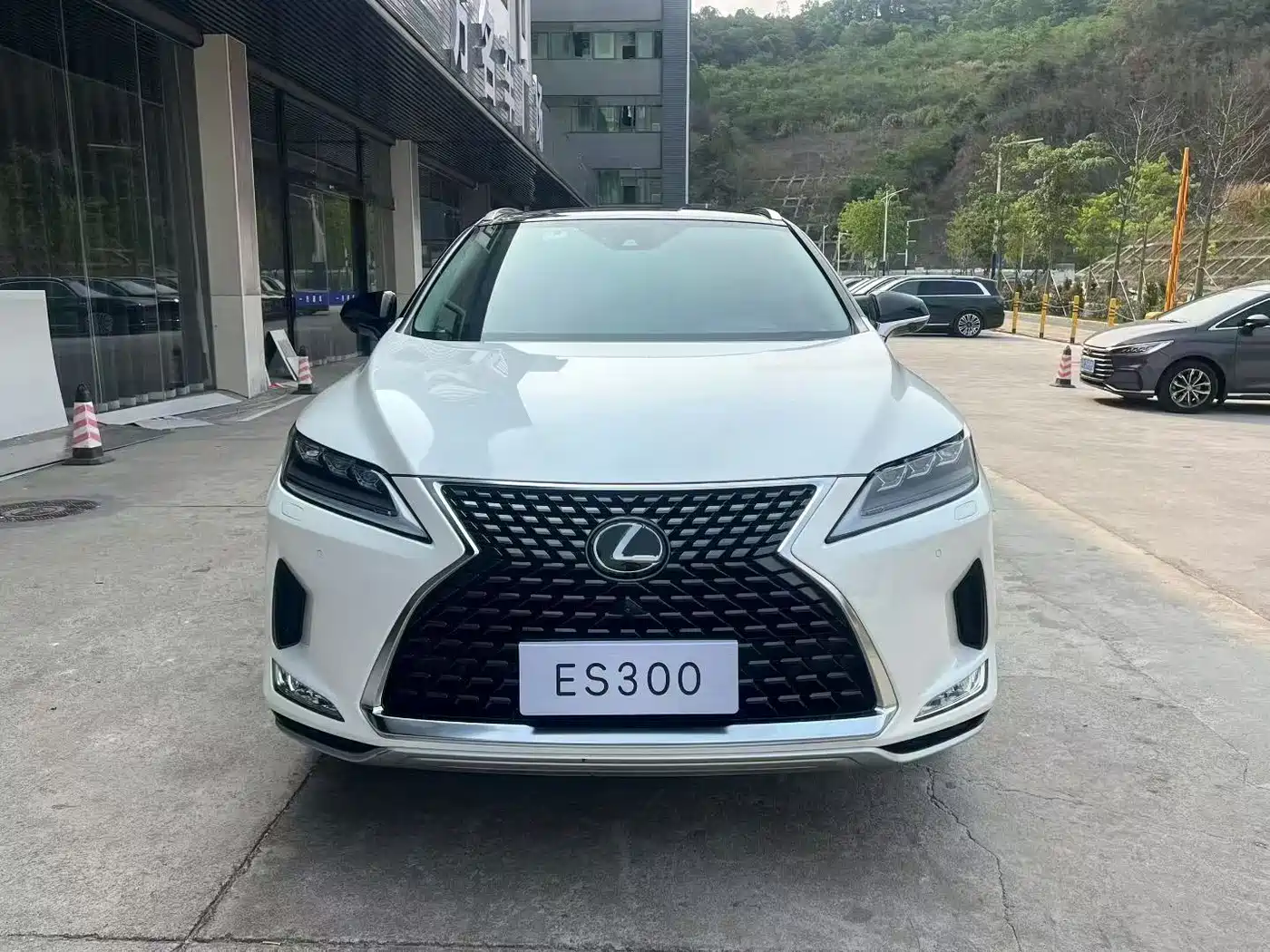 Lexus RX 2020 Facelift 300 AWD Elegance Edition фото 2