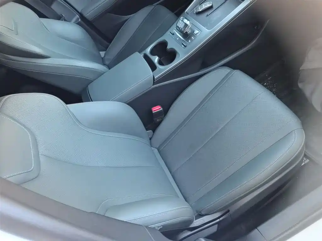 BYD Qin PLUS 2025 DM-i Smart Drive 55KM Leader фото 25