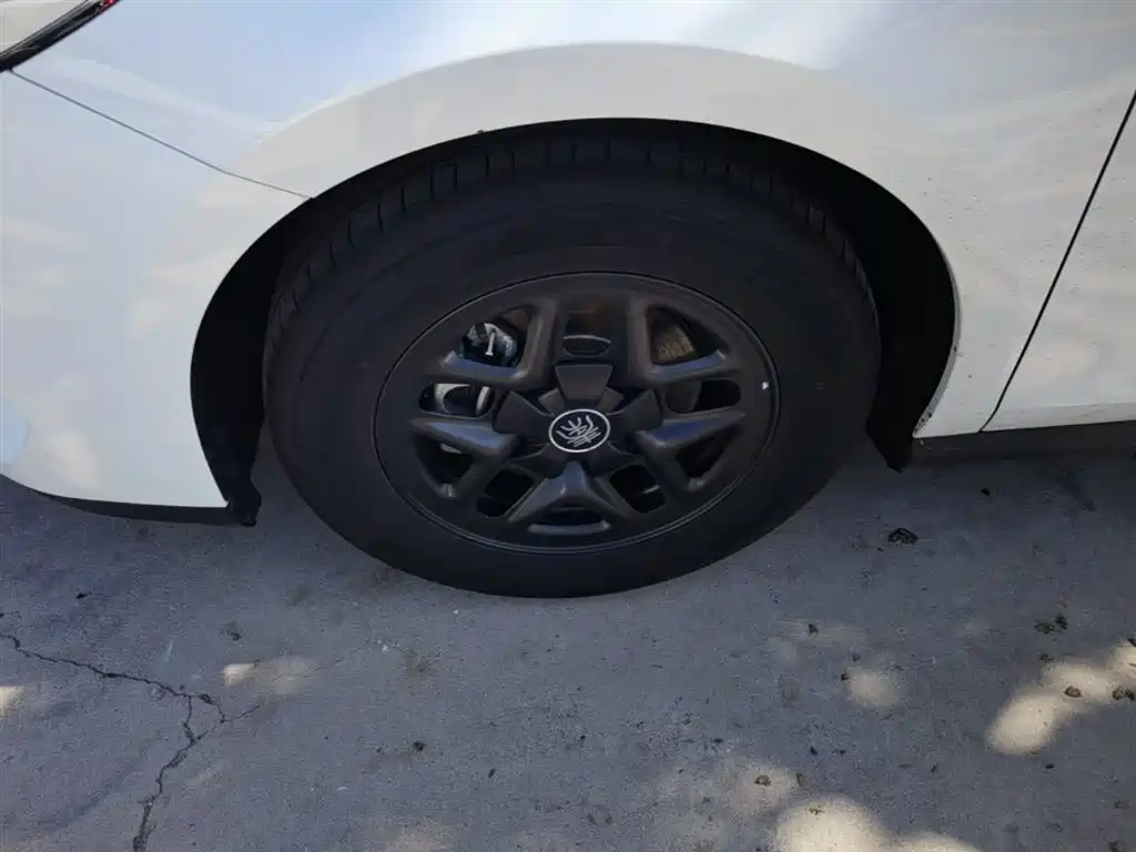 BYD Qin PLUS 2025 DM-i Smart Drive 55KM Leader фото 23