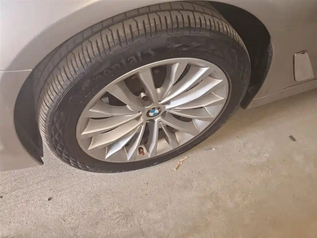 BMW 5 Series 2018 Facelift 530Li Leading Luxury Package фото 25