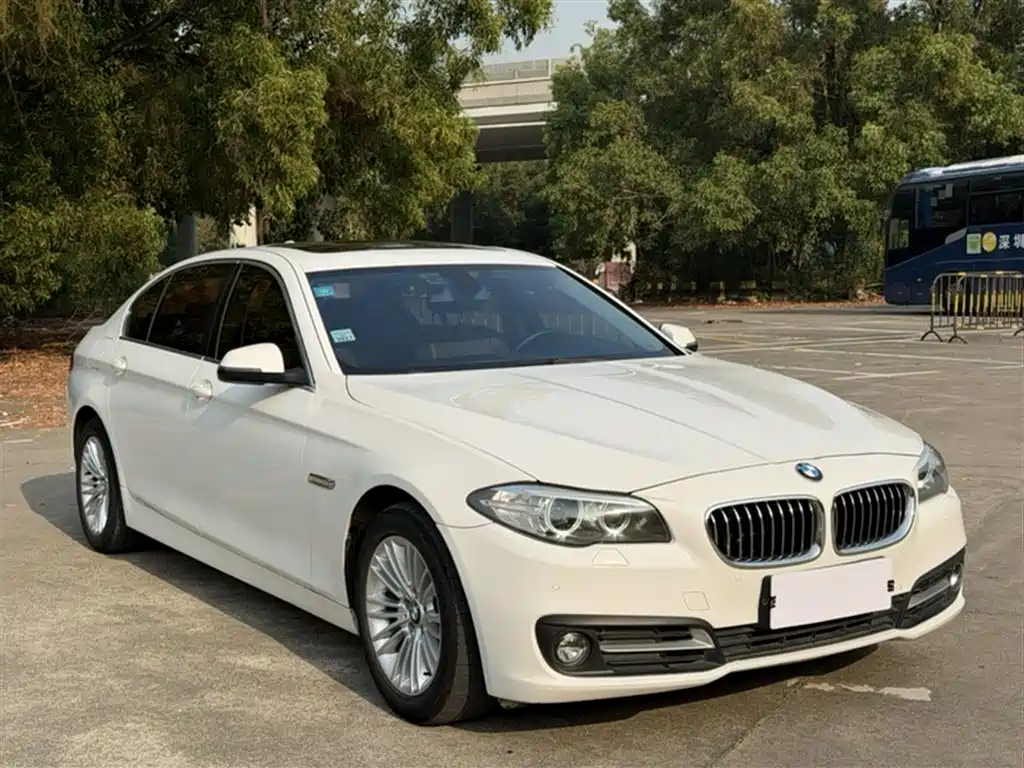 BMW 5 Series 2014 525Li Leading фото 26