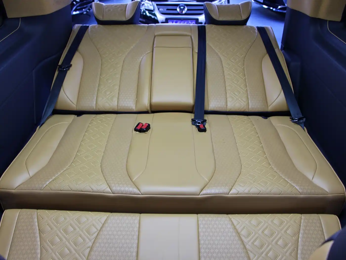 Yasheng Auto Yasheng V-Class 2021 2021 2.0T Yasheng Royal Appreciation