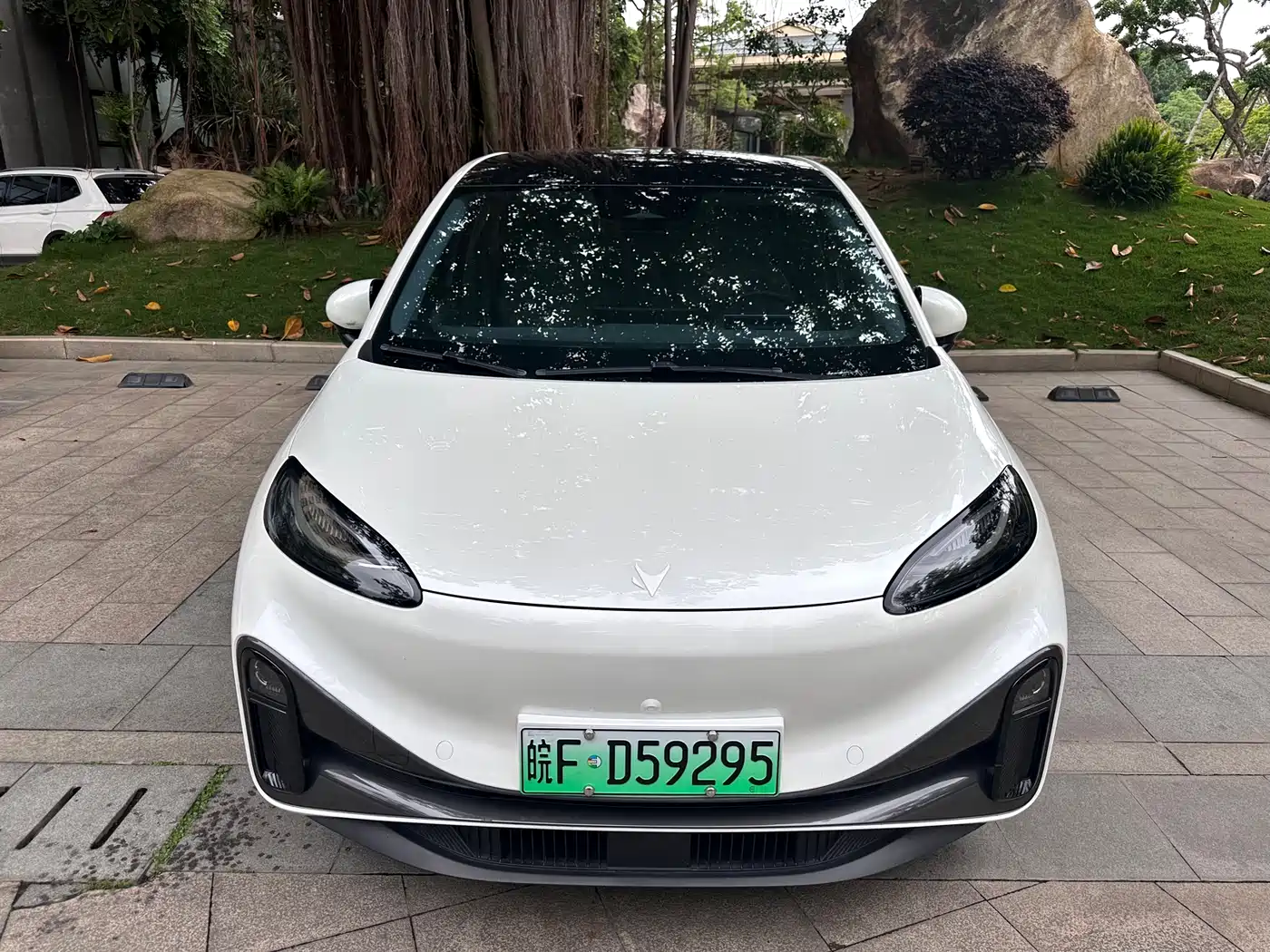 Фото 2 - ARCFOX Koala S