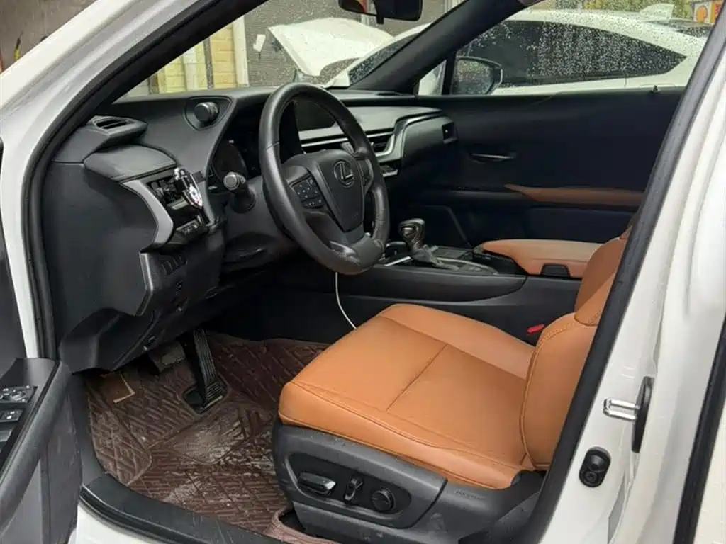 Lexus UX 2020 260h Explore Cool Edition фото 7