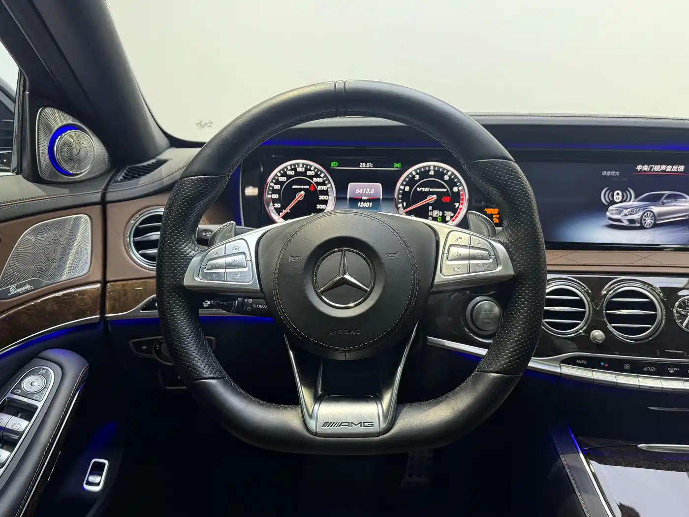 Mercedes-Benz S-Class AMG 2014 AMG S 65 L фото 9