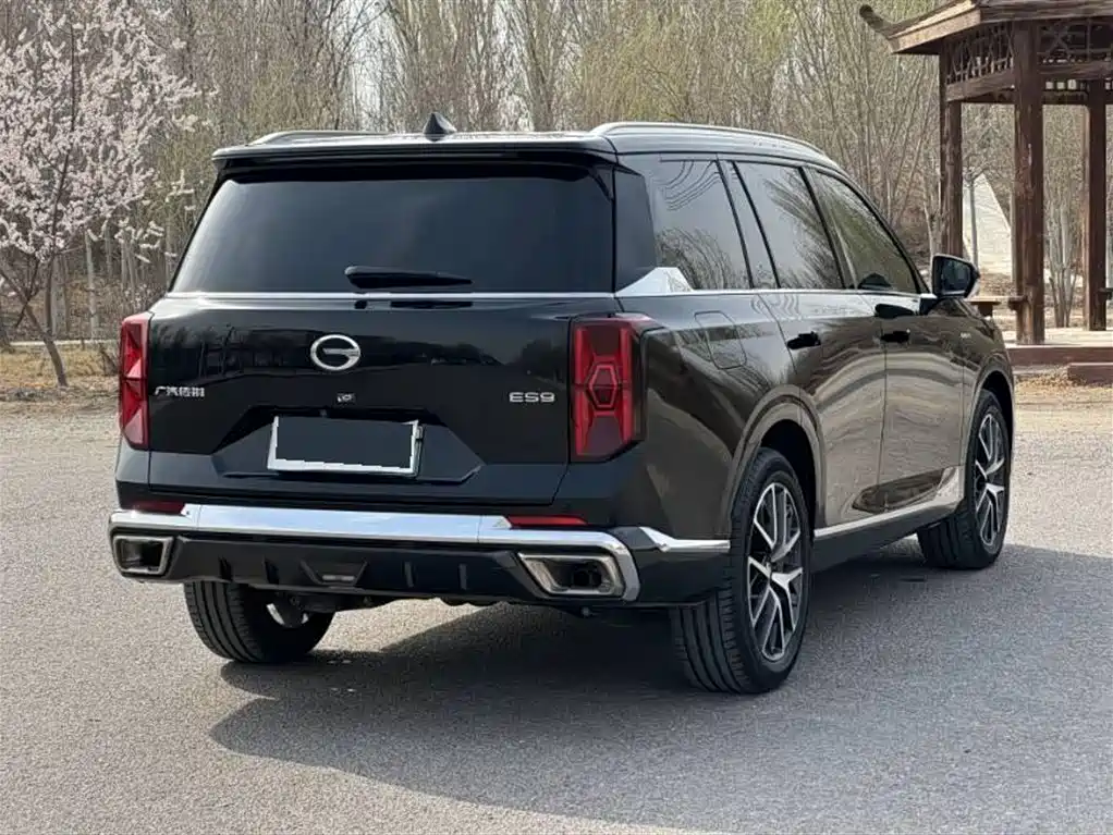 GAC Trumpchi Trumpchi ES9 2024 PHEV 143km Pro+ фото 12