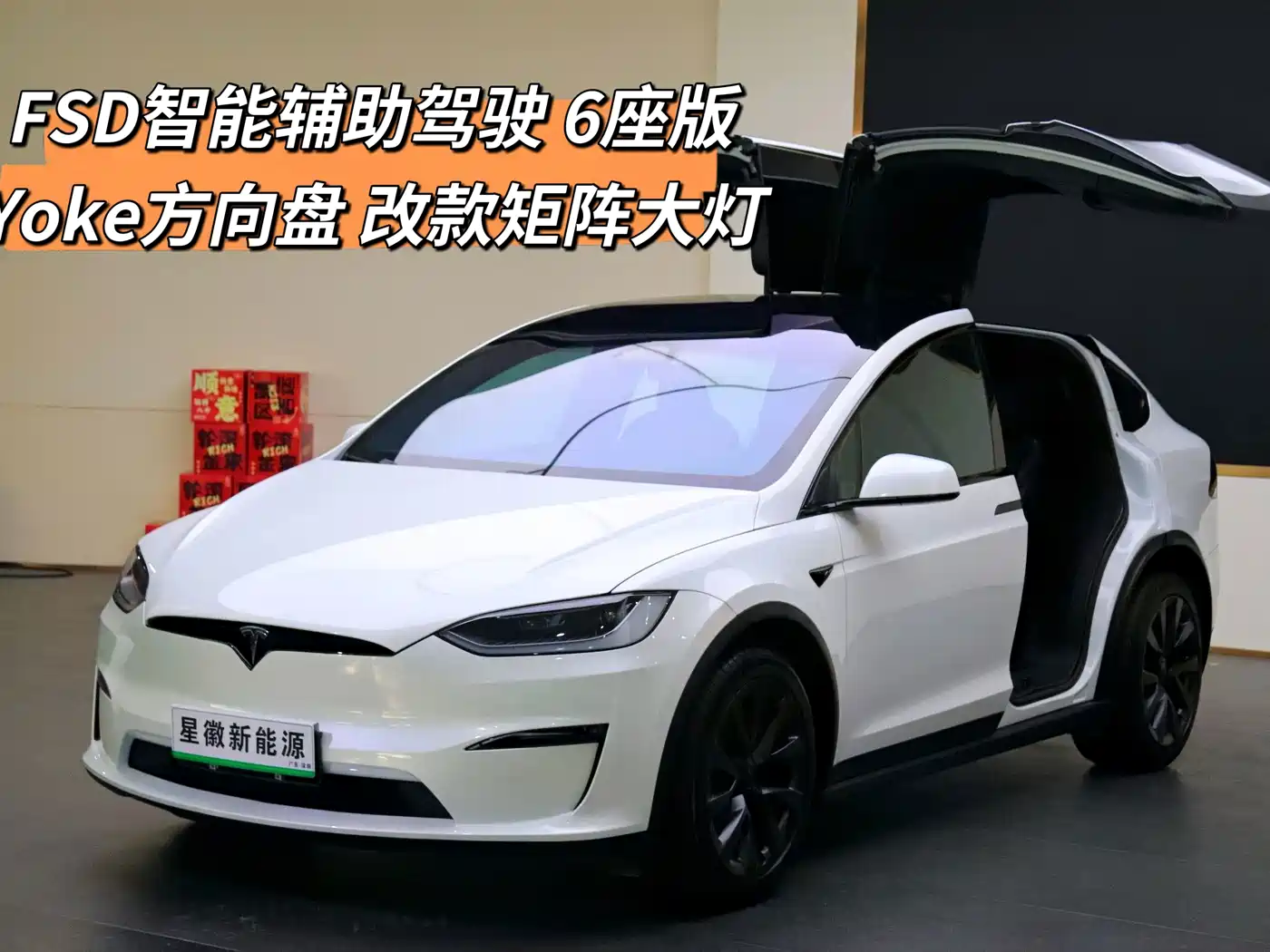 Tesla Model X 2023 2023 Dual Motor All-Wheel Drive Edition
