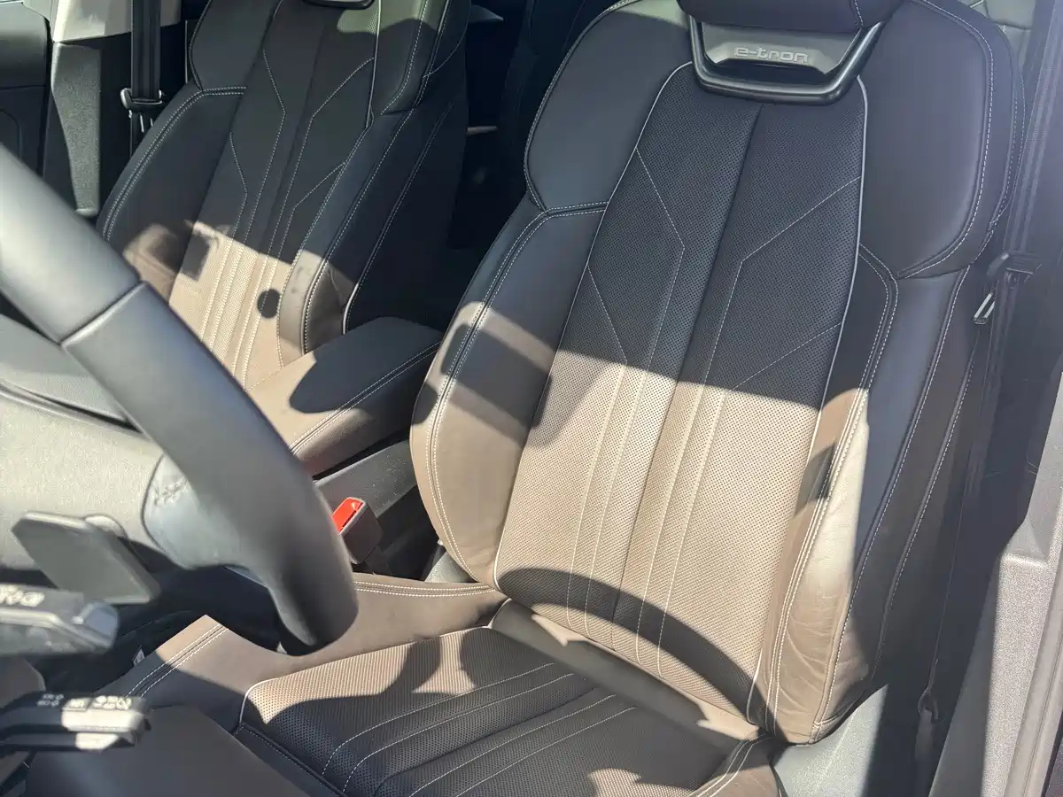 Фото 30 - Audi Q5 e-tron