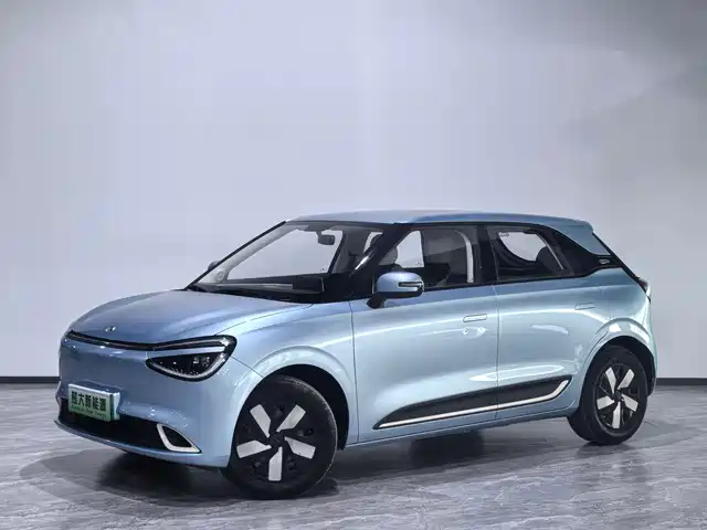 Dongfeng Yipai Nano 01 2024
