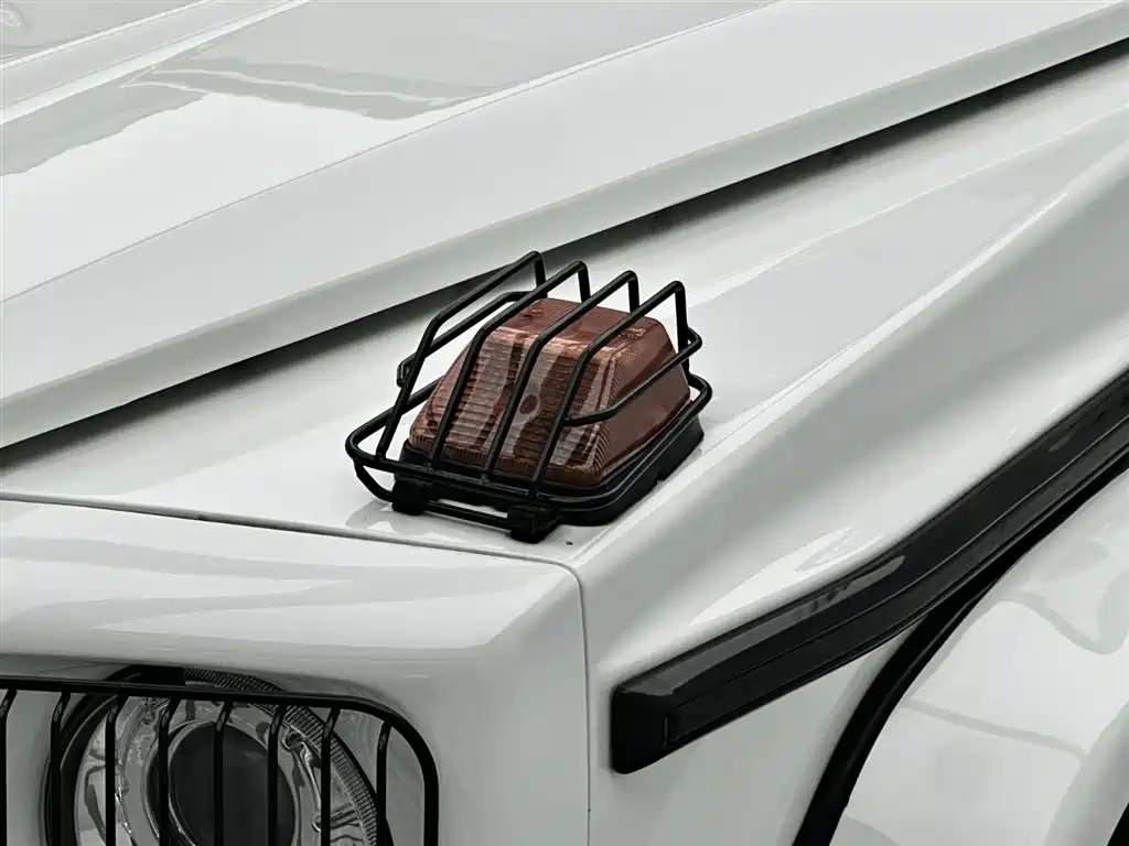 Mercedes-Benz G-Class AMG 2009 AMG G 55 фото 6