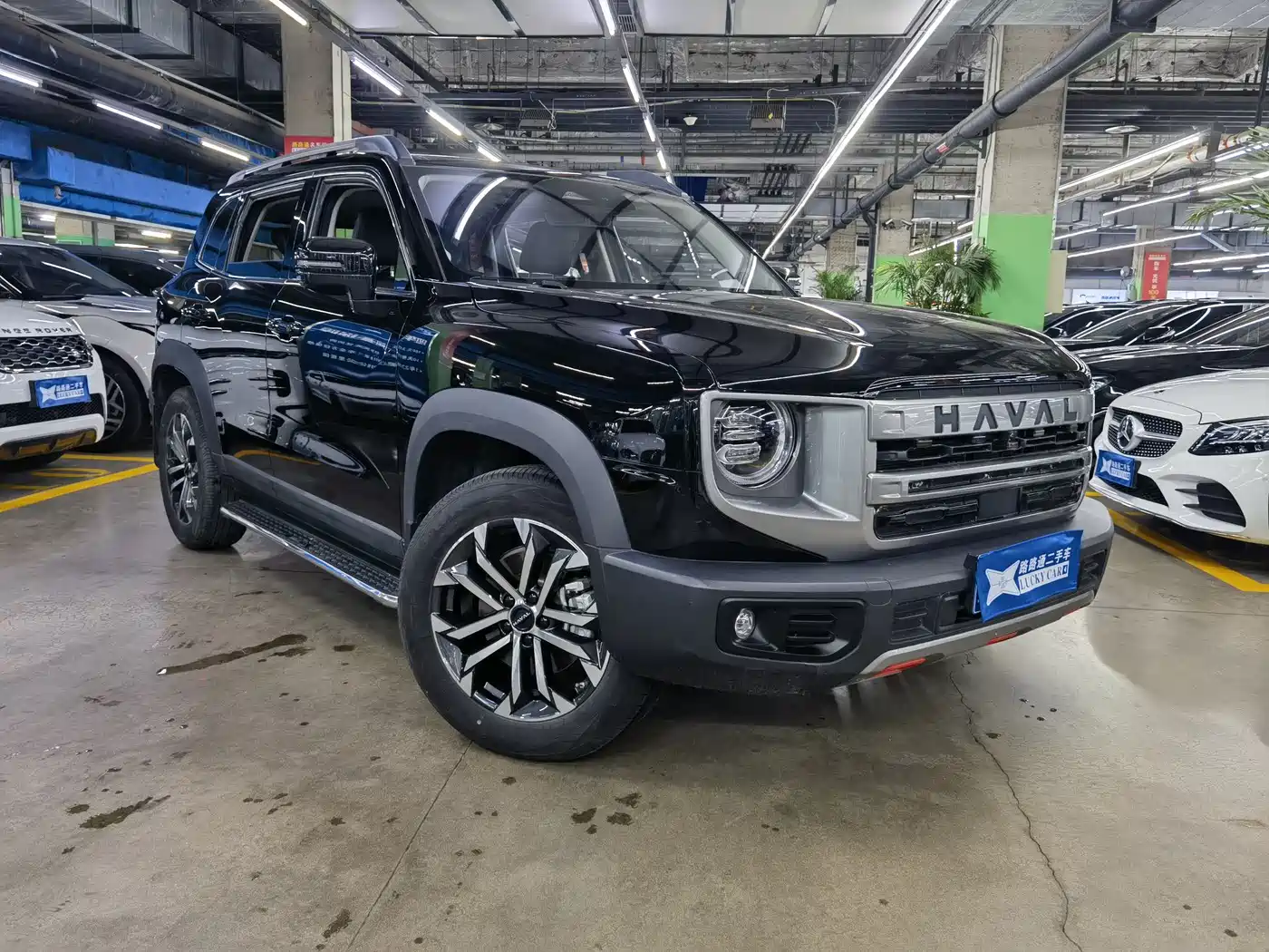 Haval Big Dog 2024 1.5T DCT Border Collie Edition фото 3