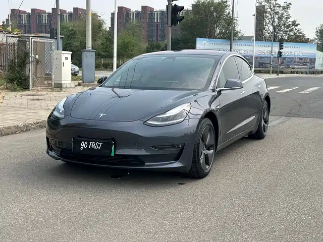 TESLA MODEL 3 (IMPORTED) 2019