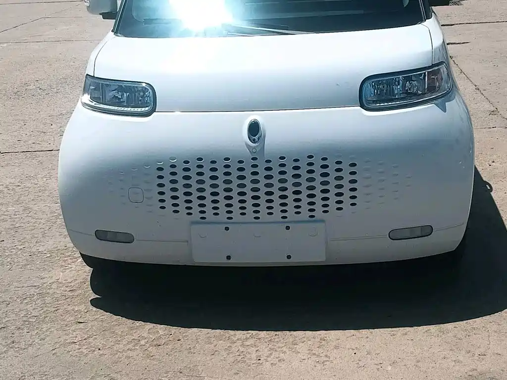 Ora White Cat 2020 2020 360km Standard Model