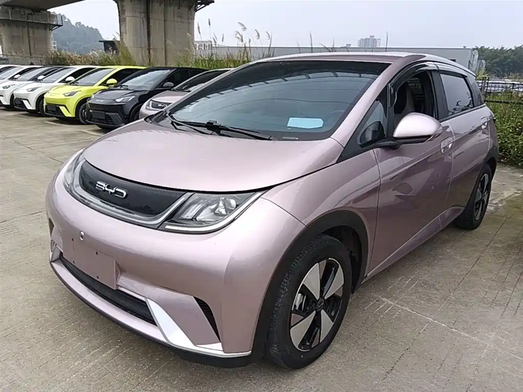 BYD Dolphin 2023 420km Freedom Edition