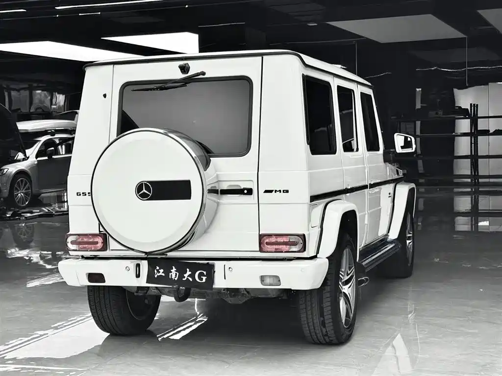 Mercedes-Benz G-Class AMG 2009 AMG G 55 фото 17