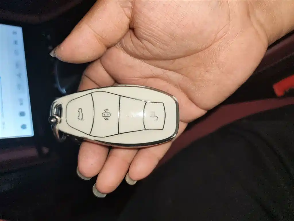 Hongqi H5 2023 2.0T Auto Smart Connect Flag Enjoy фото 12