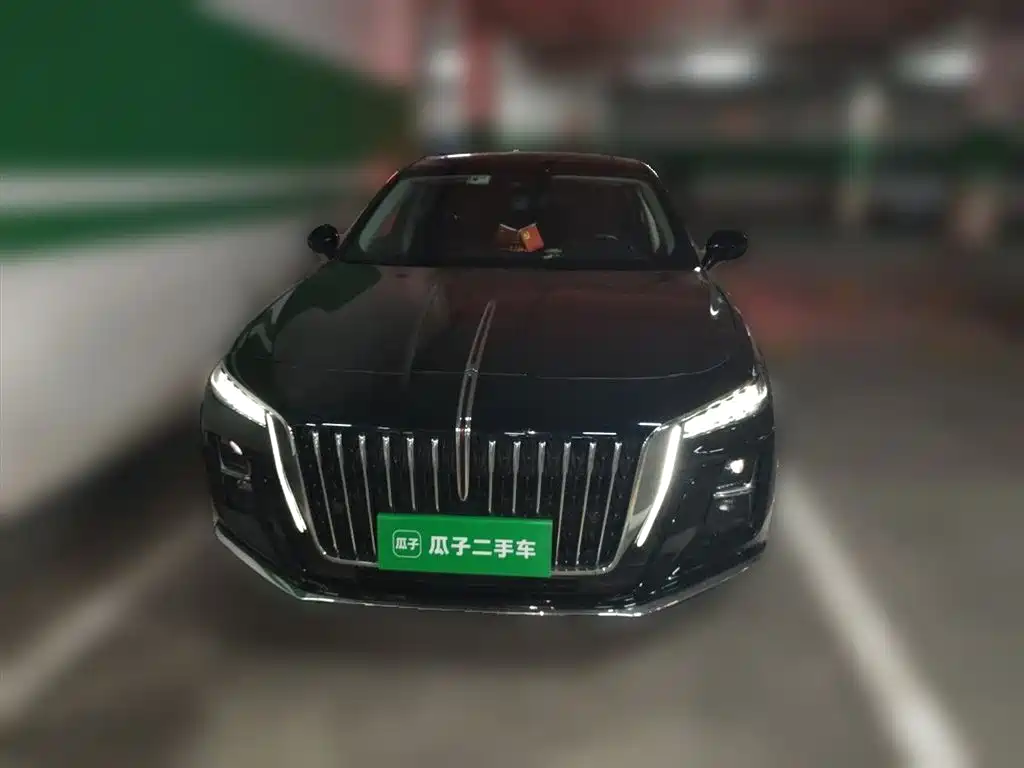 Hongqi H5 2023 2.0T Auto Smart Connect Flag Enjoy фото 24