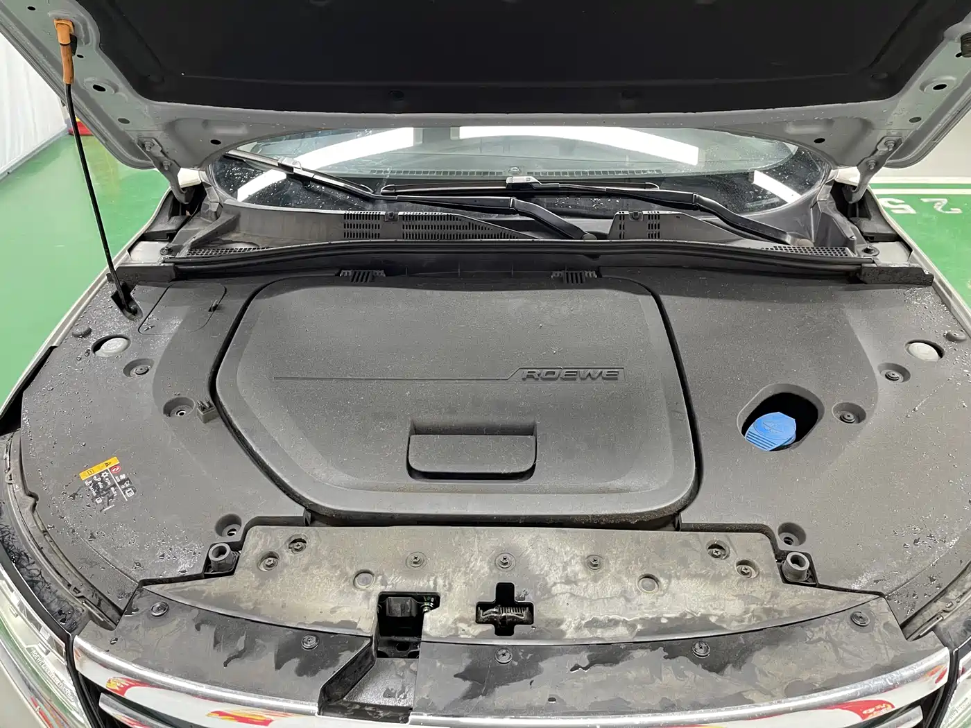 Фото 30 - Roewe RX5 New Energy