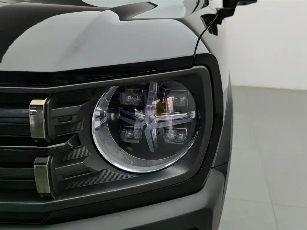 Haval Cool Dog 2022 1.5T DCT 4WD Adventure Edition фото 7