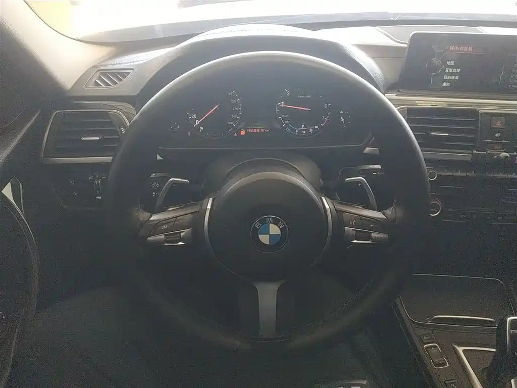 BMW 3 Series 2019 320Li M Sport Package фото 11