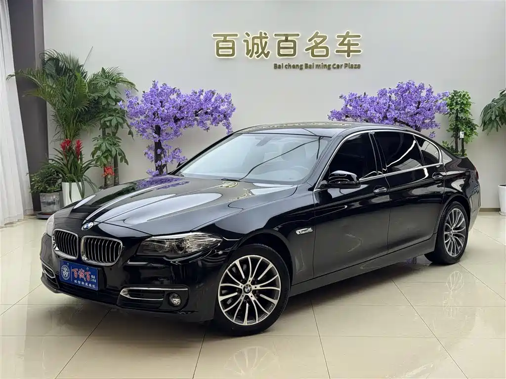 BMW 5 Series 2014 525Li Luxury Design Package фото 2
