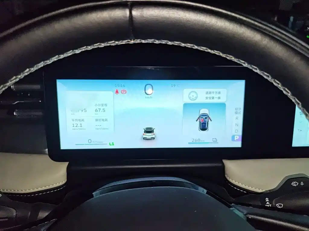 Geely Geometry E Firefly 2022 2022 401KM Thunder Tiger 4-Seater