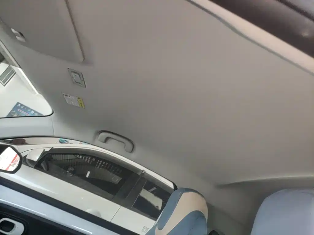 Roewe Clever 2023 2022 311km Vitality Bobo Edition