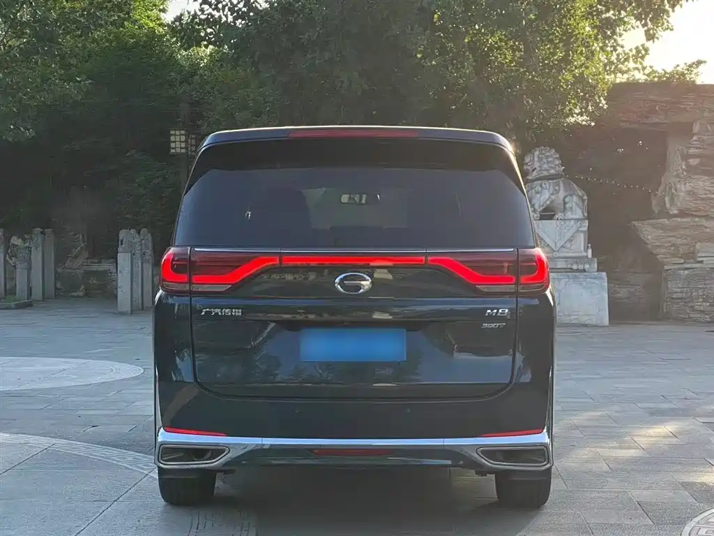 GAC Trumpchi Trumpchi M8 2021 Leading Show Series 390T Ultimate Edition фото 16