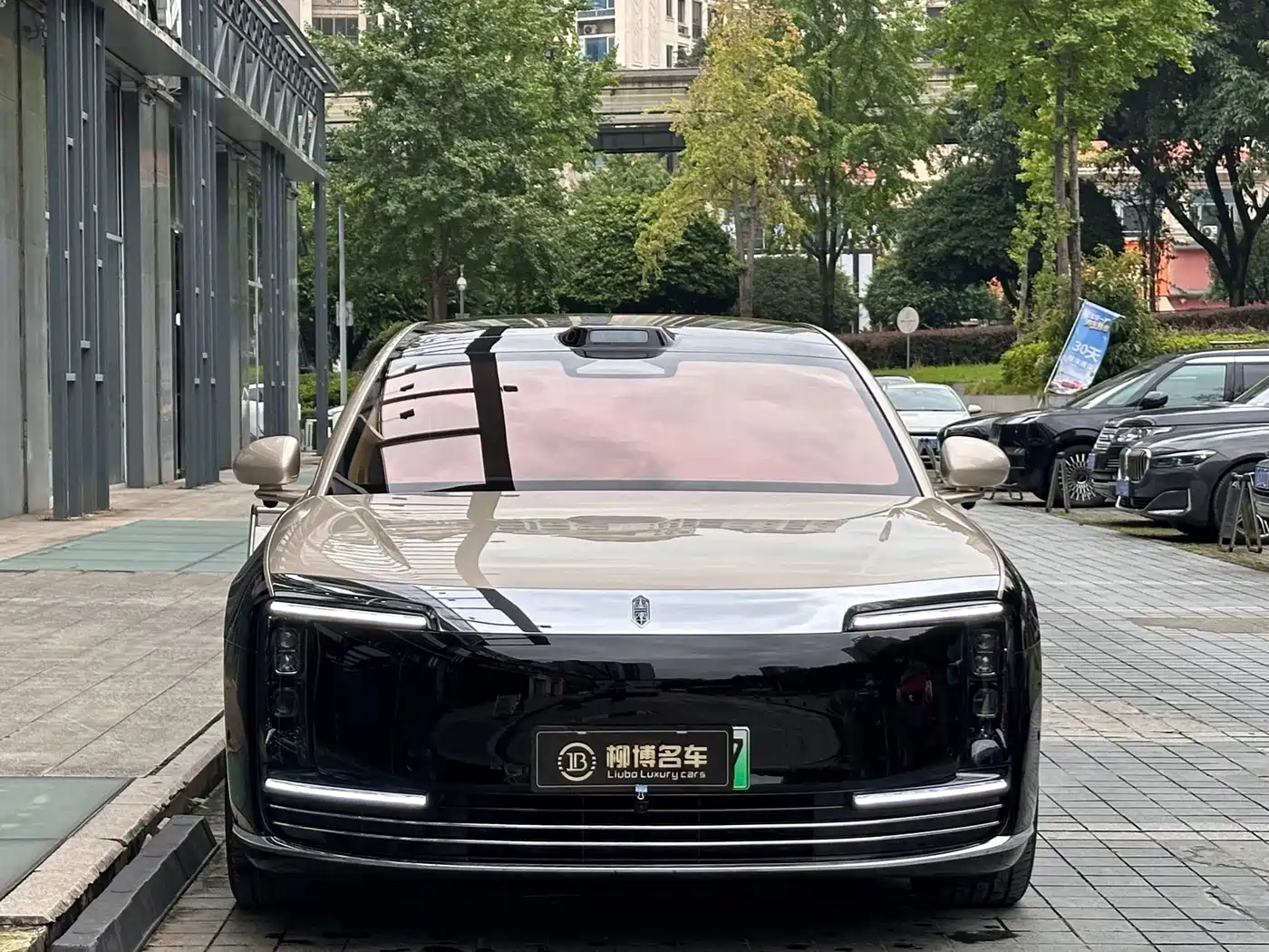 Zunjie S800 2026 2026 Model Extended Range Starlight Executive Edition 4-seater