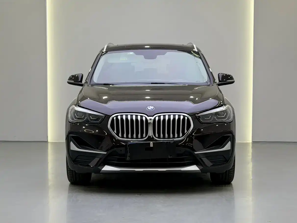 BMW X1 2020 xDrive25Li Premium Edition фото 2