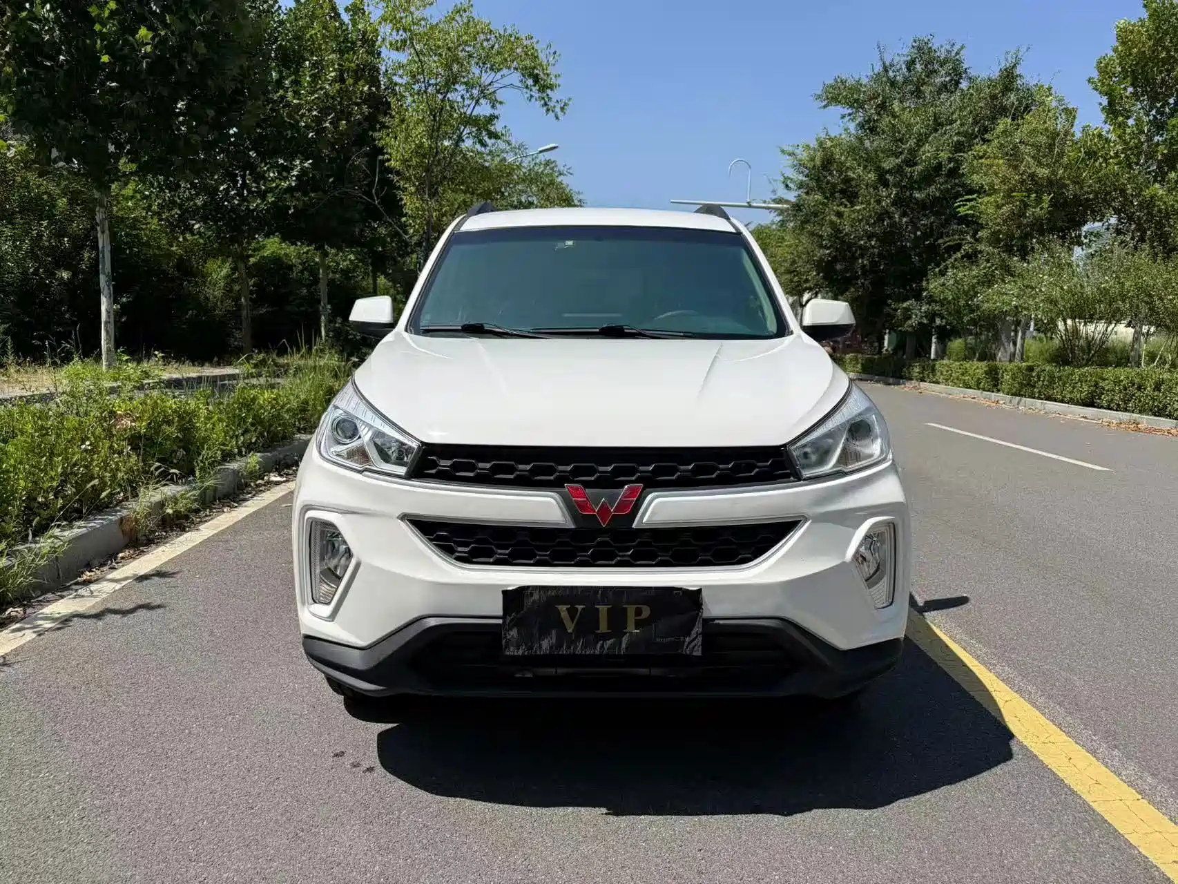 Фото 2 - Wuling Motors Wuling Hongguang S3