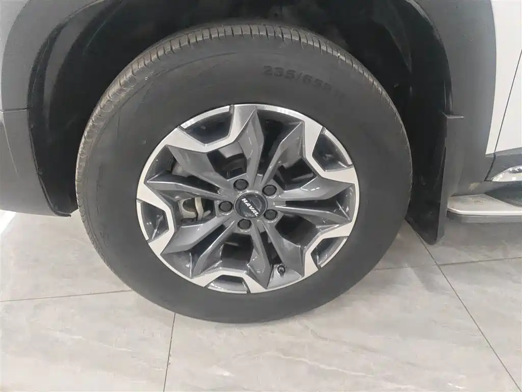 Haval Big Dog 2021 2.0T DCT 4WD Chinese Rural Dog Edition фото 20