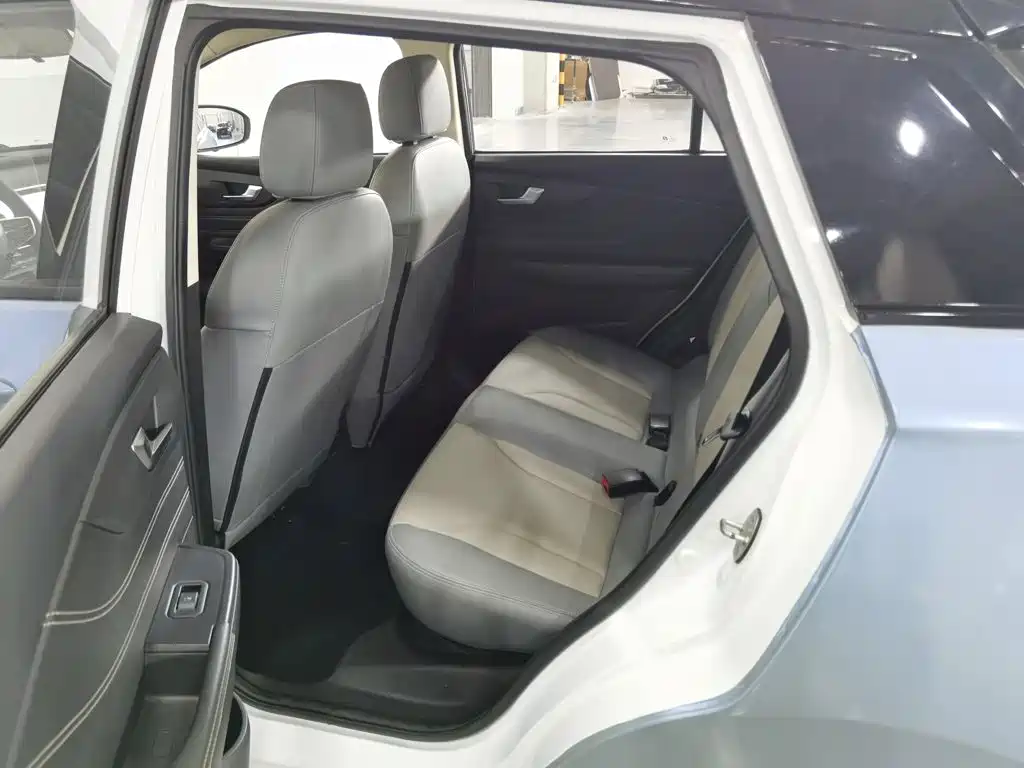 Electric House YOUNG Guang Xiaoxin 2023 2023 302KM Pearl Edition