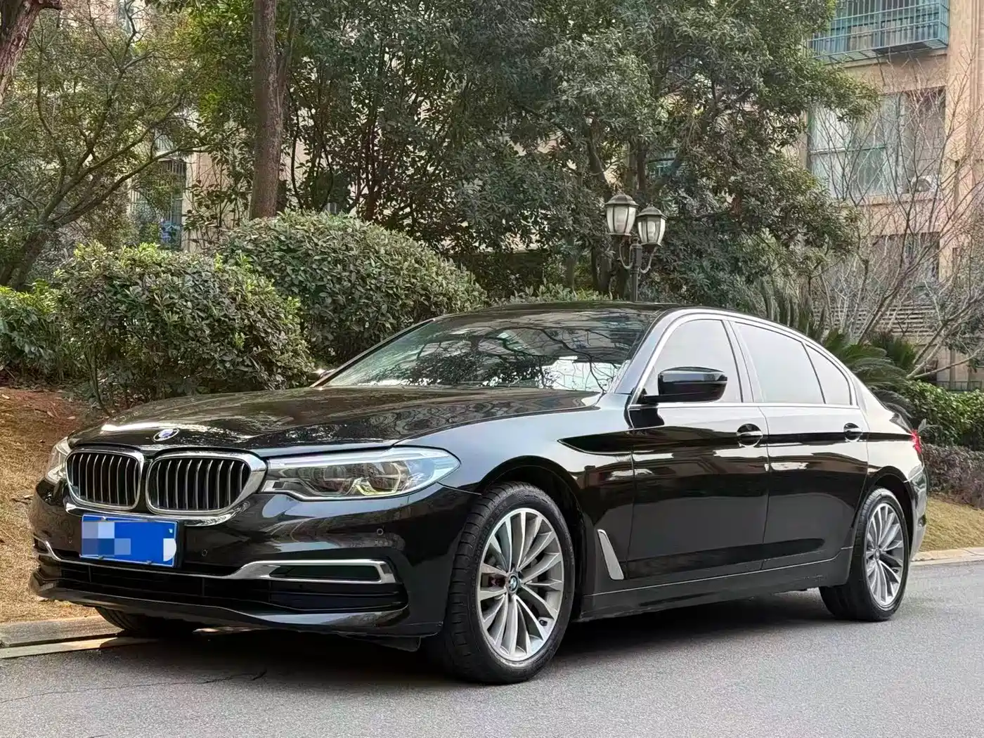 BMW 5 Series 2020 530Li Leading Luxury Package фото 2