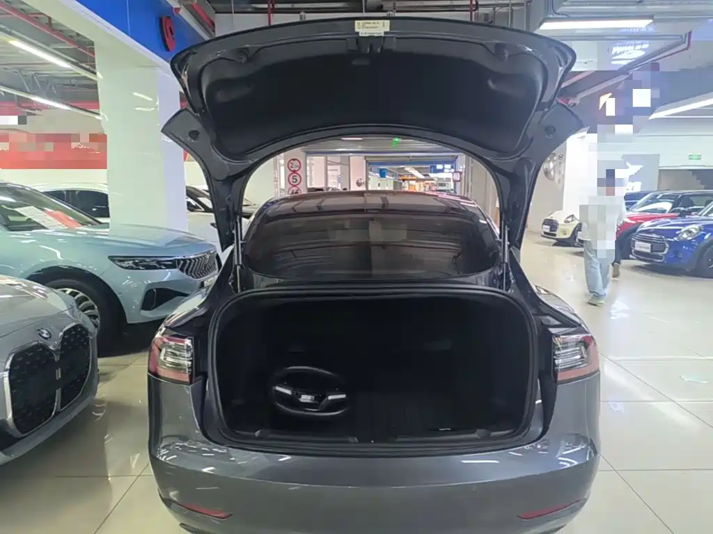 Tesla Model 3 (Import) 2019 2019 Long Range All-Wheel Drive Edition