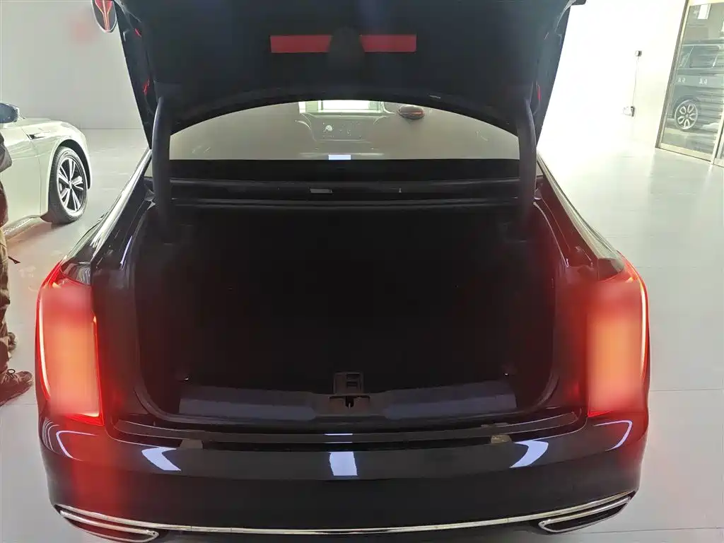 Hongqi H9 2023 Model 2.0T Smart Connect Flagship Edition фото 19
