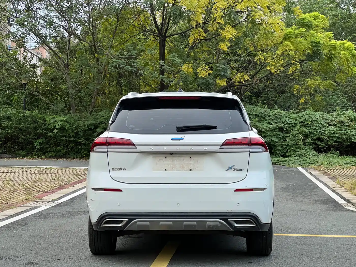 Changan Oshan Changan Oushang X7 EV 2021 2020 Model Premium 405