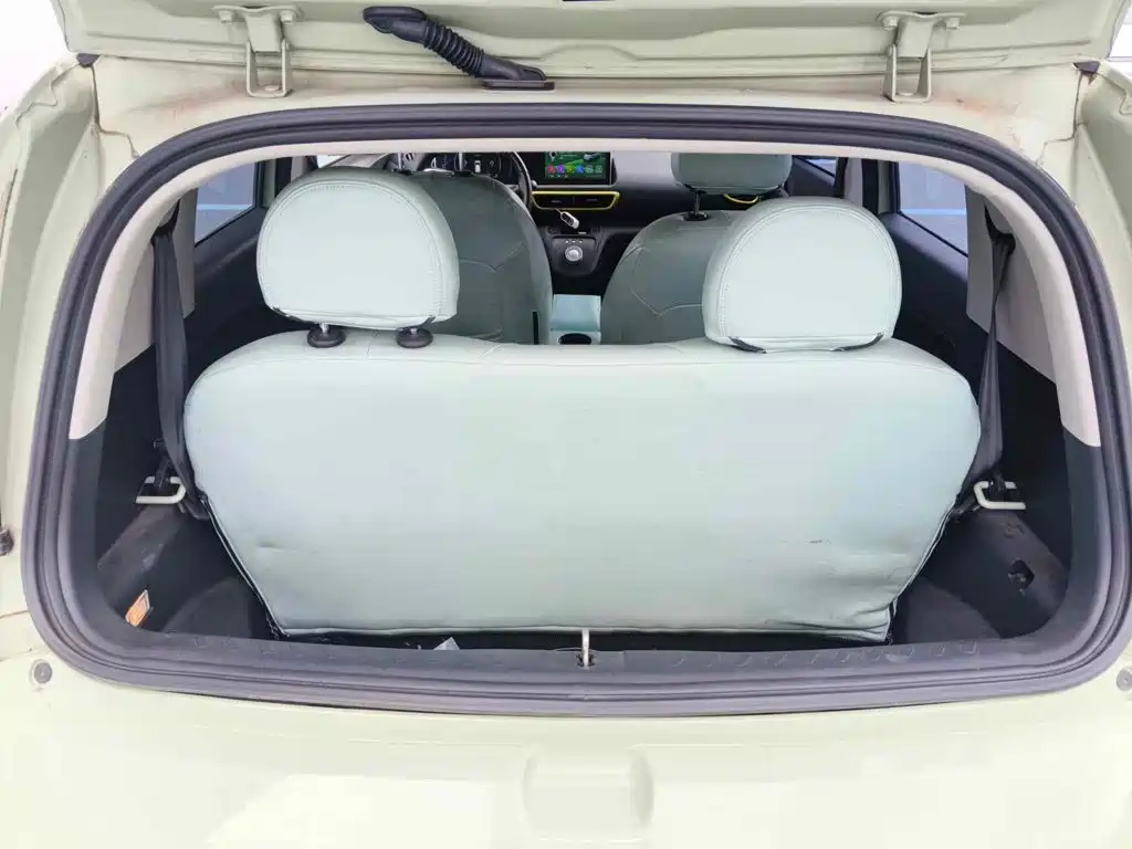 Ora White Cat 2021 2020 305km Luxury