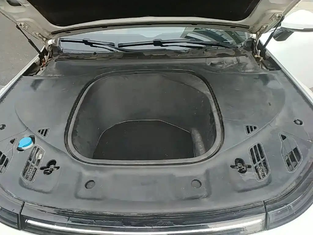 Фото 20 - XPeng P7