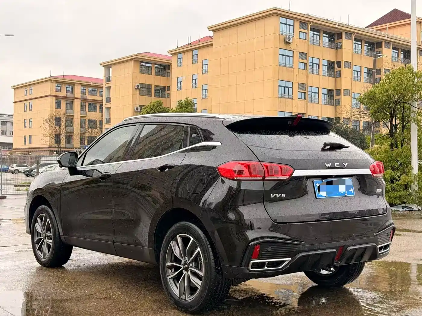 WEI PAI WEI BRAND VV5