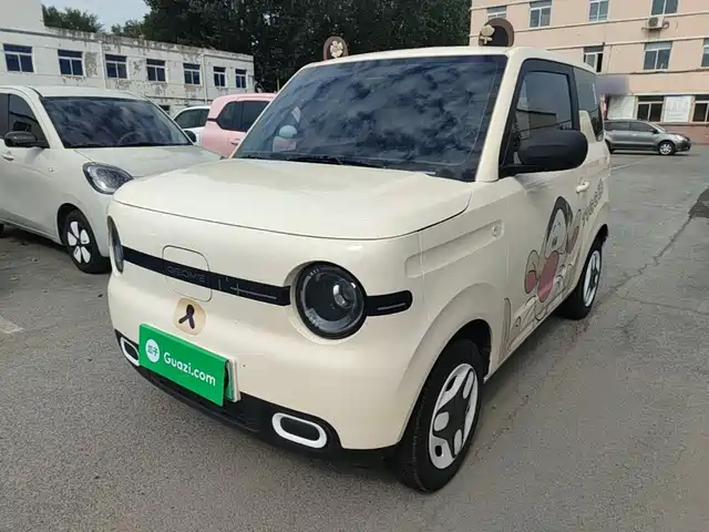  Geely Galaxy Panda 2025 Panda mini 210km Vitality Bear
