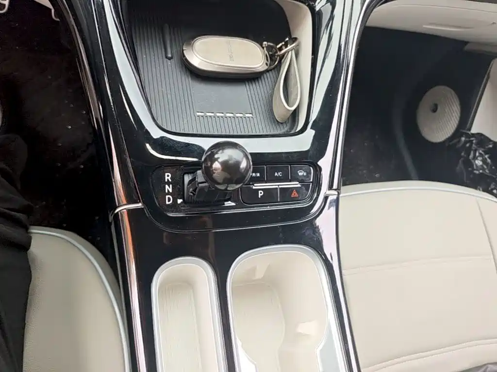 Geely Galaxy Starry Wish 2026 2026 Edition 310km Youth Version