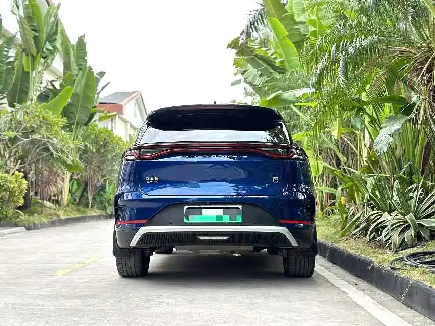 BYD Tang New Energy 2022 DM-p 215KM AWD Flagship фото 8