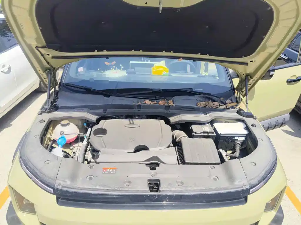 Geely Cowboy 2024 2025 1.5TD Adventure Edition