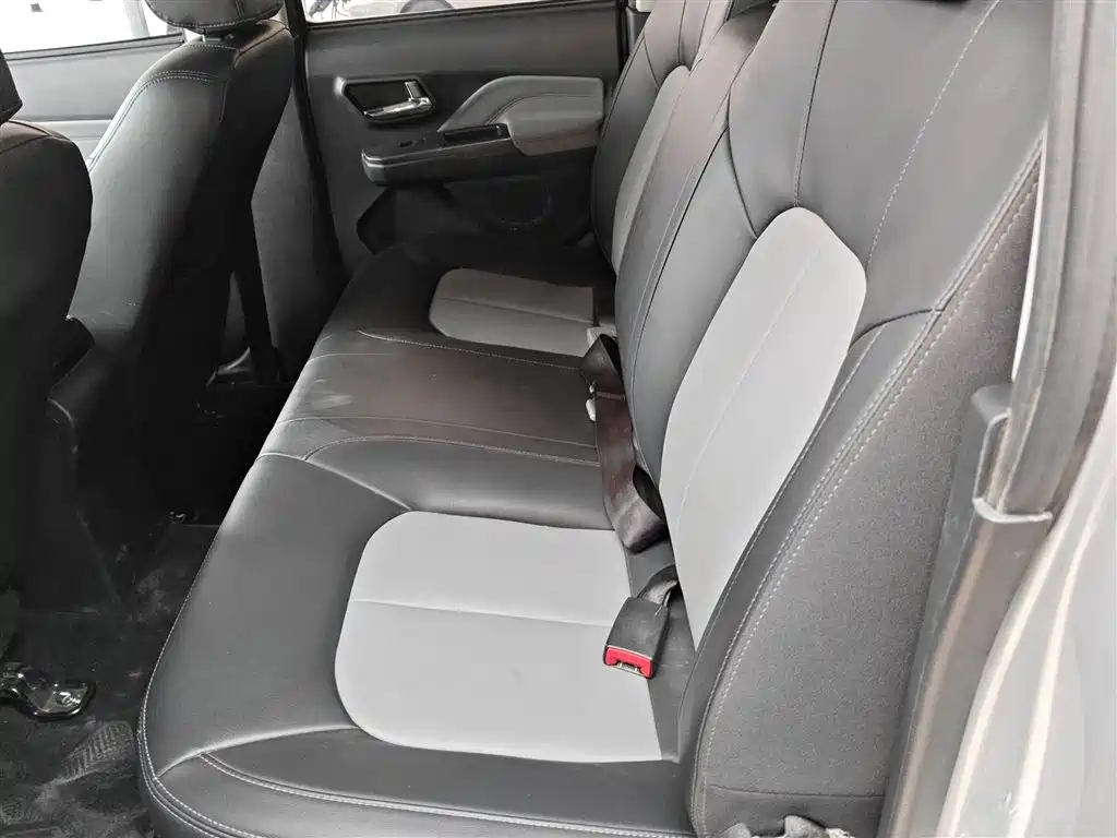 Great Wall Fengjun 5 2024 2023 2.0T Diesel 2WD Aspiring Double Cab