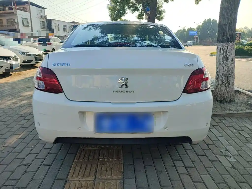صورة 6 - Peugeot 301