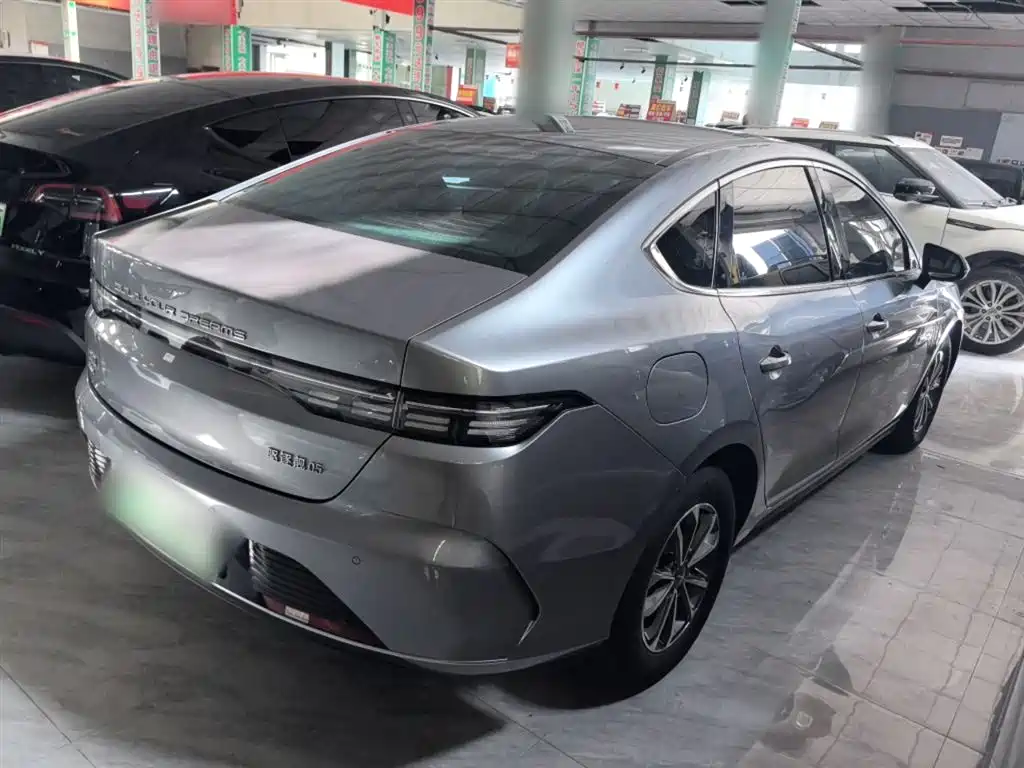 BYD Destroyer 05 2024 Glory Edition DM-i 55KM Luxury фото 5